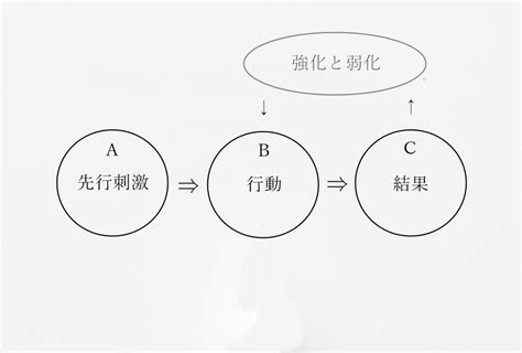 態度理論|態度と随伴性